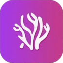 珊瑚视频播放器下载