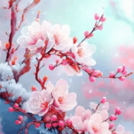 梅花影视tv版海外版苹果下载