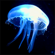 水母影视老版本下载2024旧版安装