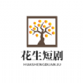 花生短剧手机登录网页版