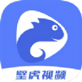 壁虎视频旧版本安装包