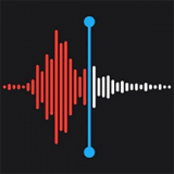 小猴录音备忘录2024旧版本