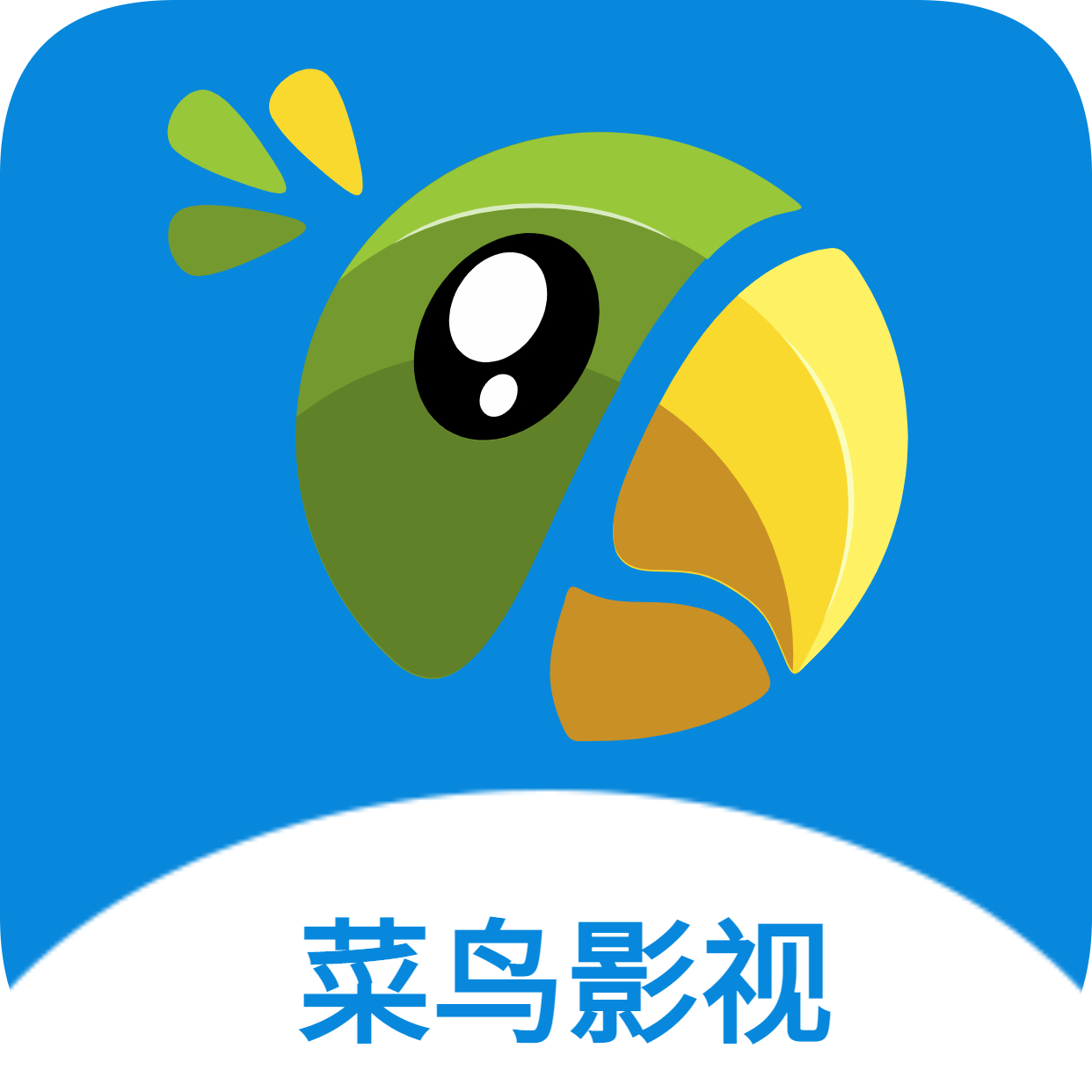 菜鸟影视hd版下载平板安装