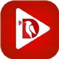 丁丁剧场下载hd旧版