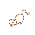 缘梦影视无广告定制版