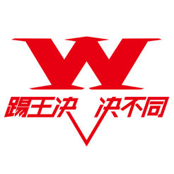 踢王决比赛视频免费直播球赛app入口