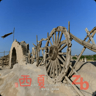 西夏直播比赛直播app在线观看