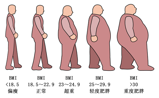 每5个中小学生中就有一个小胖墩儿，专家详解肥胖防控怎么做